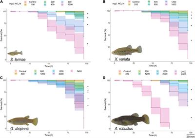 Differential sensitivity of offspring from four species of goodeine freshwater fish to acute exposure to nitrates